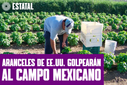 ARANCELES DE EE.UU. GOLPEARÁN AL CAMPO MEXICANO
