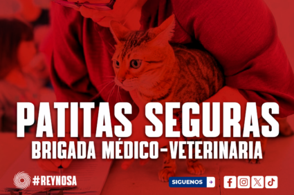 REALIZAN BRIGADA MÉDICO-VETERINARIA “PATITAS SEGURAS” EN PLAZA DEL RÍO