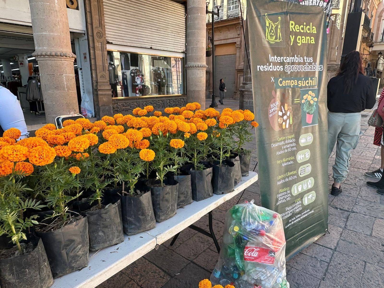 Plantas y reciclables en un punto de intercambio municipal