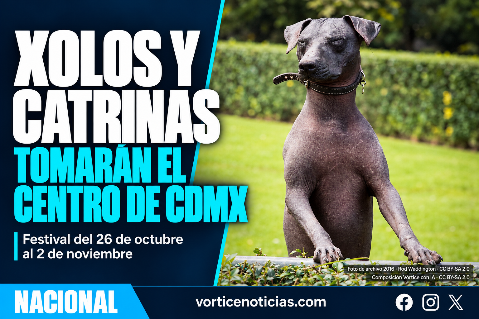 Portada del Festival Entre Xolos y Catrinas con fotografía de archivo de un xoloitzcuintle